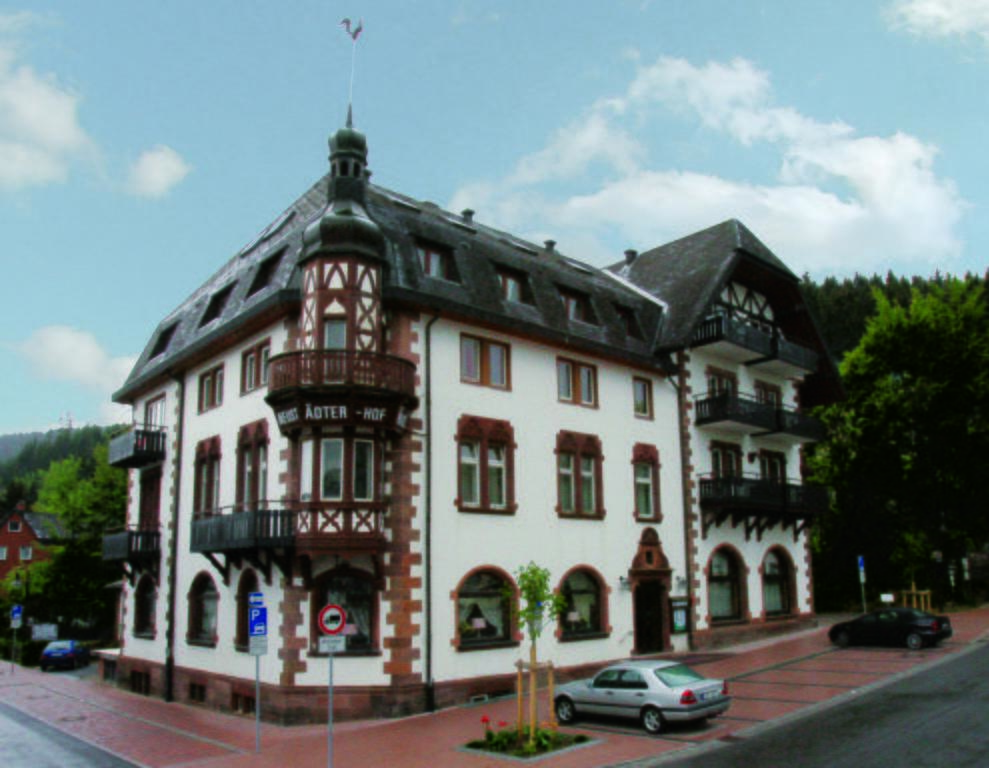 Hotel Garni Neustadter Hof Titisee-Neustadt Exteriör bild